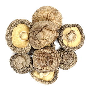 shiitake-mushrooms-whole-mountain-rose-herbs