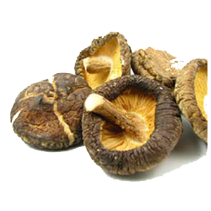 shiitake-mushrooms-whole-mountain-rose-herbs