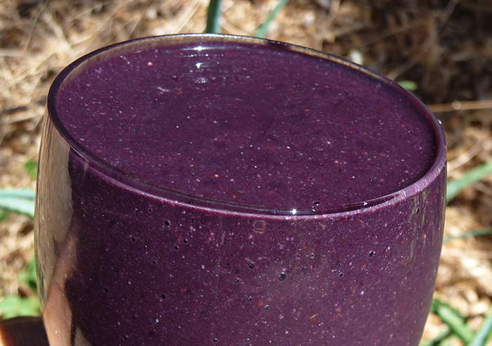 smoothie-recipe-blackberry smoothie-recipe-blackberry