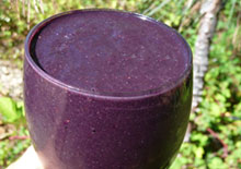 smoothie-recipe-related-page