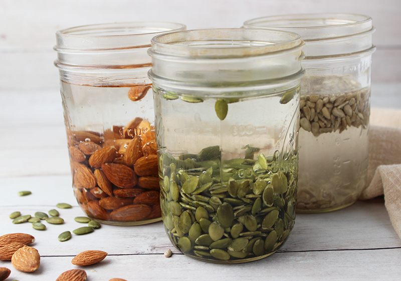 Why Soaking Nuts and Seeds is Better for Nutrient Absorption