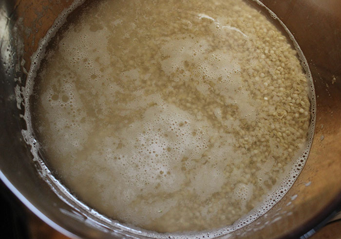 soaking-quinoa-grain soaking-quinoa-grain