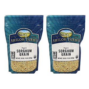 sorghum-grain-shiloh