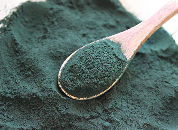 spirulina-cyanobacteria