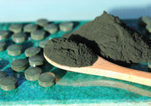 spirulina-2-related-pages