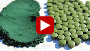 spirulina-vs-chlorella-vid
