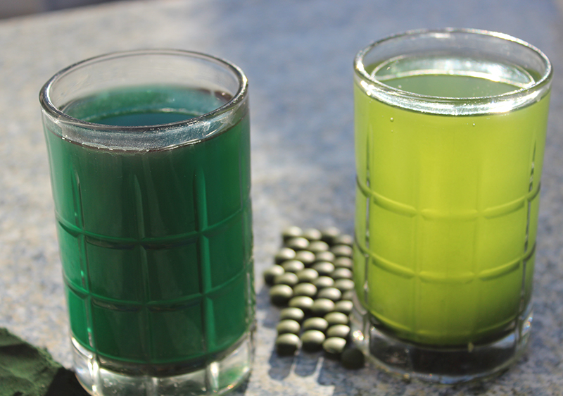 spirulina-vs-chlorella spirulina-vs-chlorella
