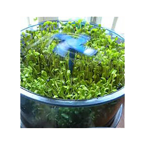 sprouter-freshlife-1000-sprouter-sproutman