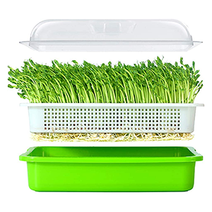 sprouter-microgreens-trays