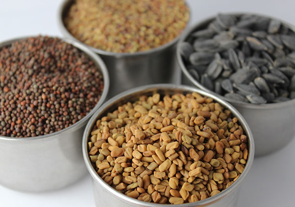 sprouting-guide-how-to-make-sprouts