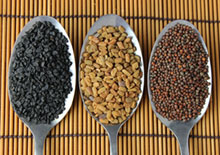 sprouting-guide-related-pages