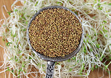 sprouts-and-food-safety-related-pages