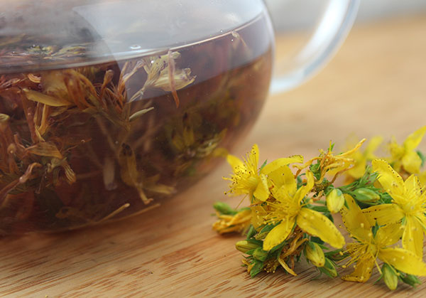 st-johns-wort-tea