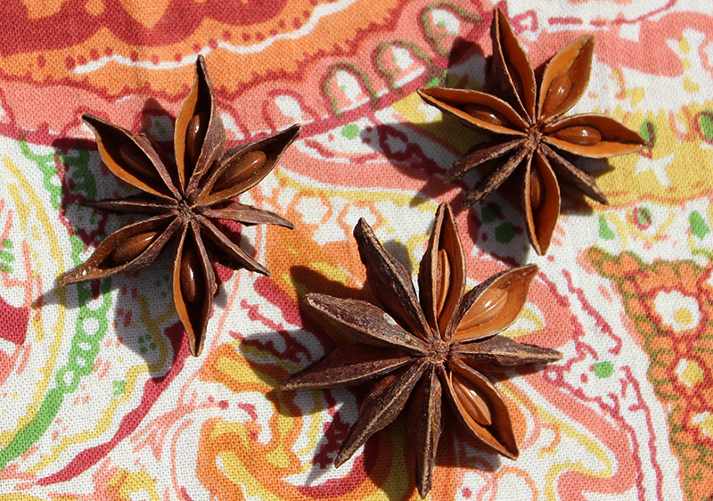 List of Star Anise Uses, Is It a Source of Shikimate?