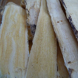 stimulant-herbs-astragalus stimulant-herbs-astragalus