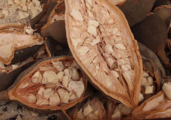 super-fruits-nutrition-bao super-fruits-nutrition-bao
