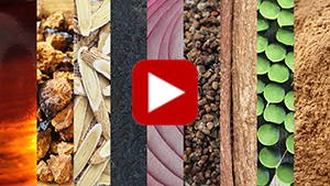 superfoods-for-wildfire-smoke-vid