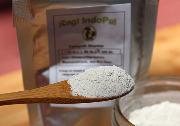 tempeh-culture-starter-rhizopus tempeh-culture-starter-rhizopus