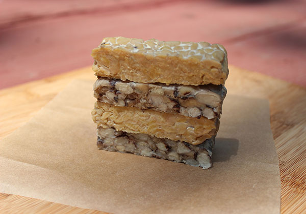 tempeh-homemade-and-commercial tempeh-homemade-and-commercial