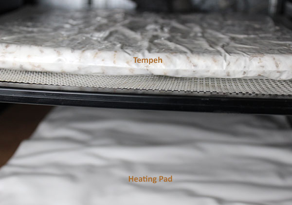 tempeh-incubation-using-heating-pad