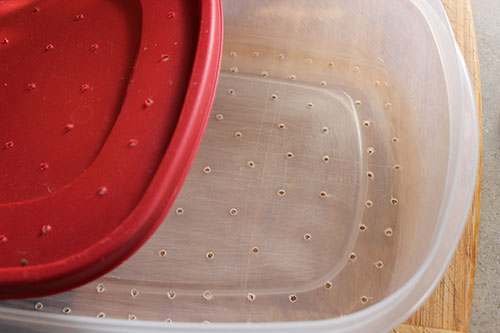 tempeh-recipe-container-with-holes