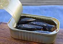 the-sardine-fast-trend-related-pages