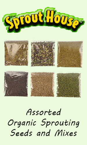 the-sprout-house-banner