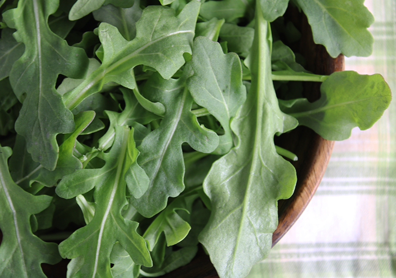 things-about-arugula things-about-arugula