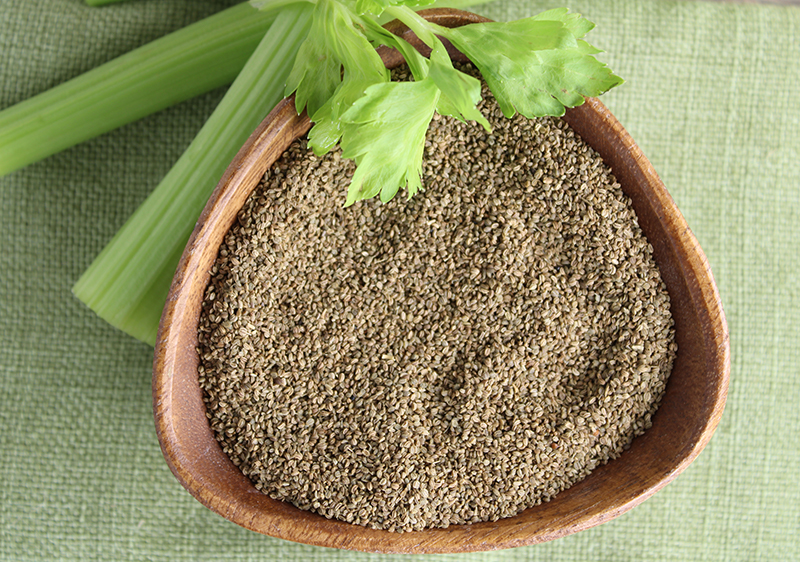 things-about-celery-seeds things-about-celery-seeds