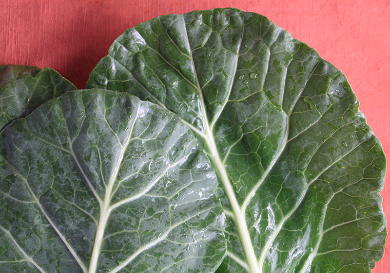 Collard Greens things-about-collard-greens