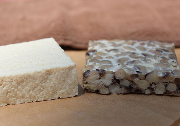 tofu-vs-tempeh tofu-vs-tempeh