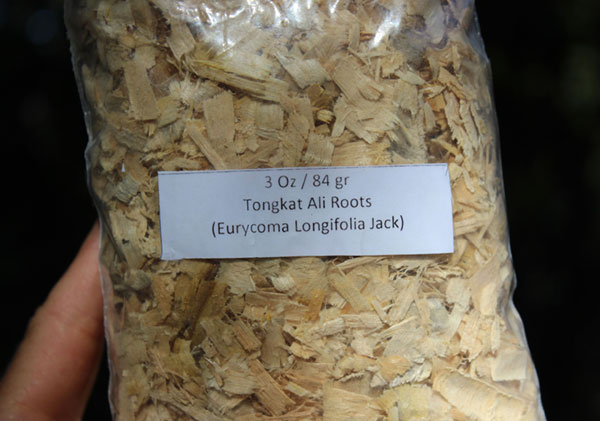 tongkat-ali-benefits tongkat-ali-benefits