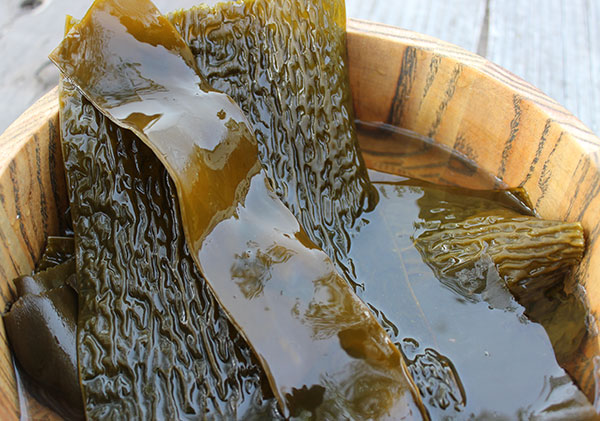 top-superfoods-list-kelp