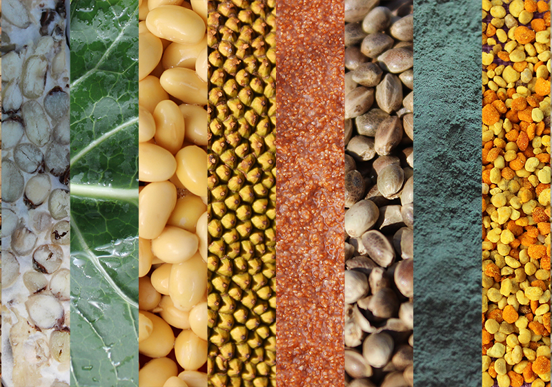 top-vegan-protein-sources