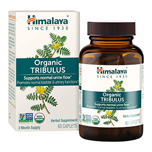 tribulus-himalaya
