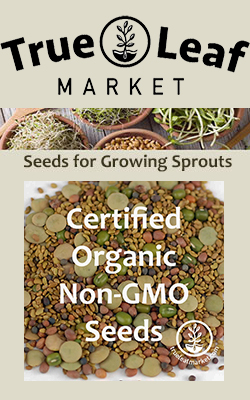 true-leaf-market-banner