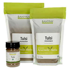 tulsi-leaf-pwder-banyan