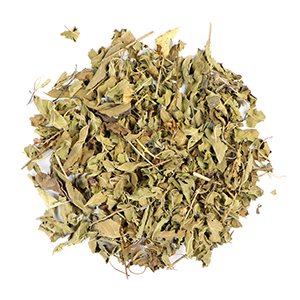 tulsi-holy-basil-rama-mountain-rose-herbs