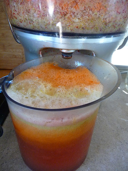 types-of-juicers-breville-centifugal types-of-juicers-breville-centifugal