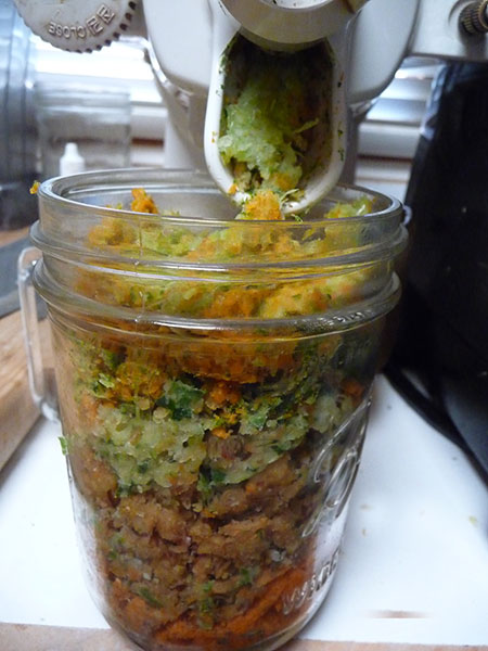 types-of-juicers-pulp-extraction types-of-juicers-pulp-extraction