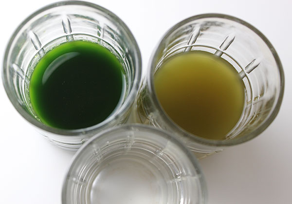 marine phytoplankton benefits a