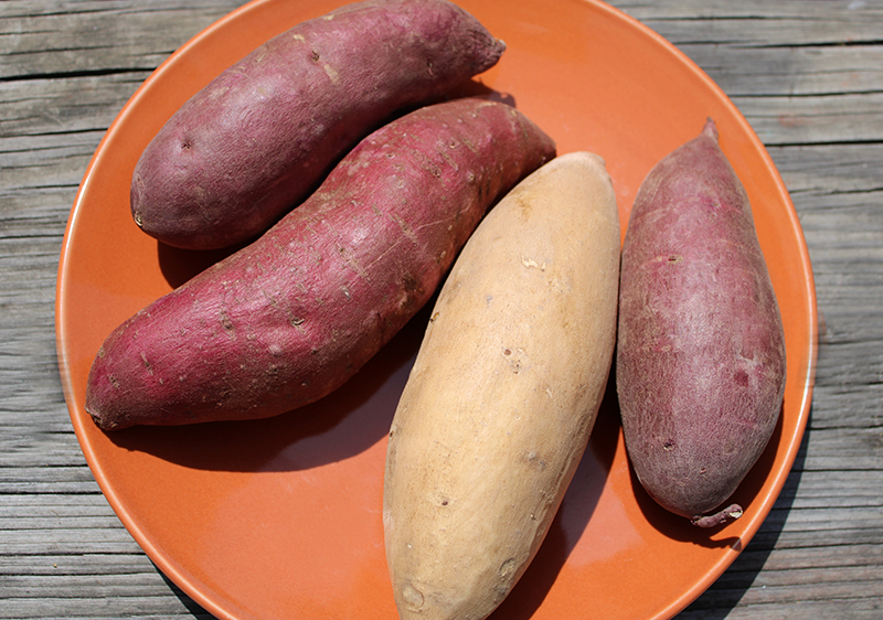 types-of-sweet-potato