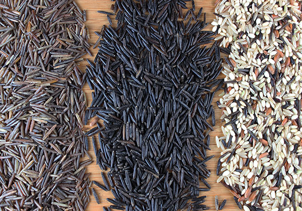 types-of-wild-rice