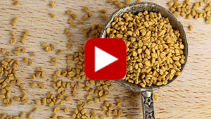 uses-of-fenugreek-vid