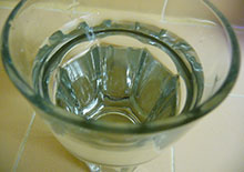 water-fasting-related-pages-section