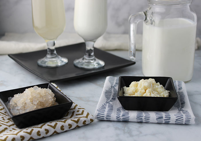 water-kefir-vs-milk-kefir-grains-benefits