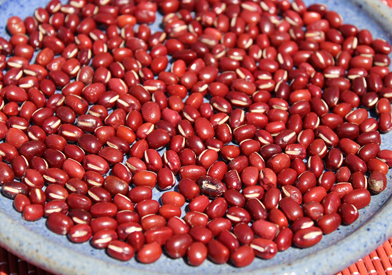 what-are-adzuki-beans what-are-adzuki-beans