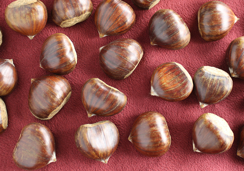 what-are-chestnuts what-are-chestnuts