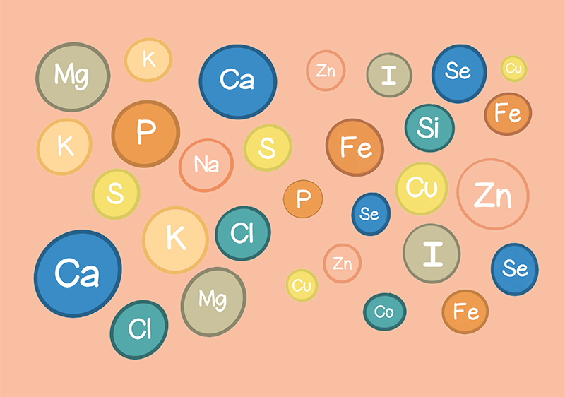 A Basic Review of Dietary Minerals and A List of Food Sources