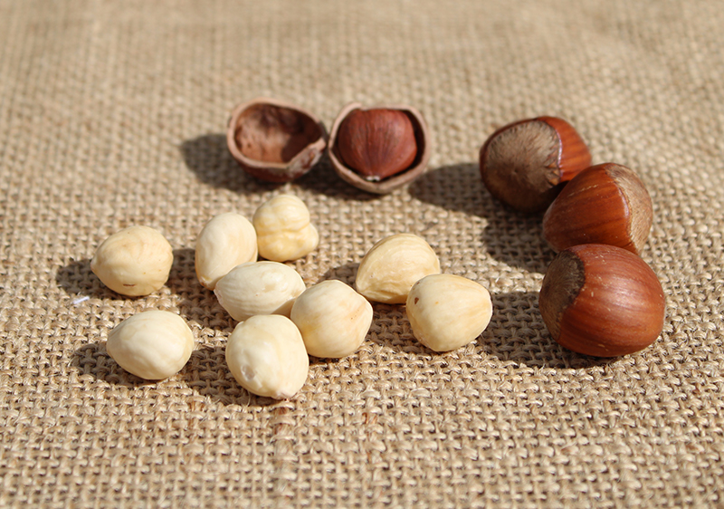 what-are-hazelnuts-